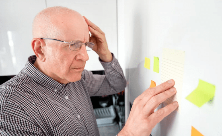 Wellness Care & Memory Loss cover